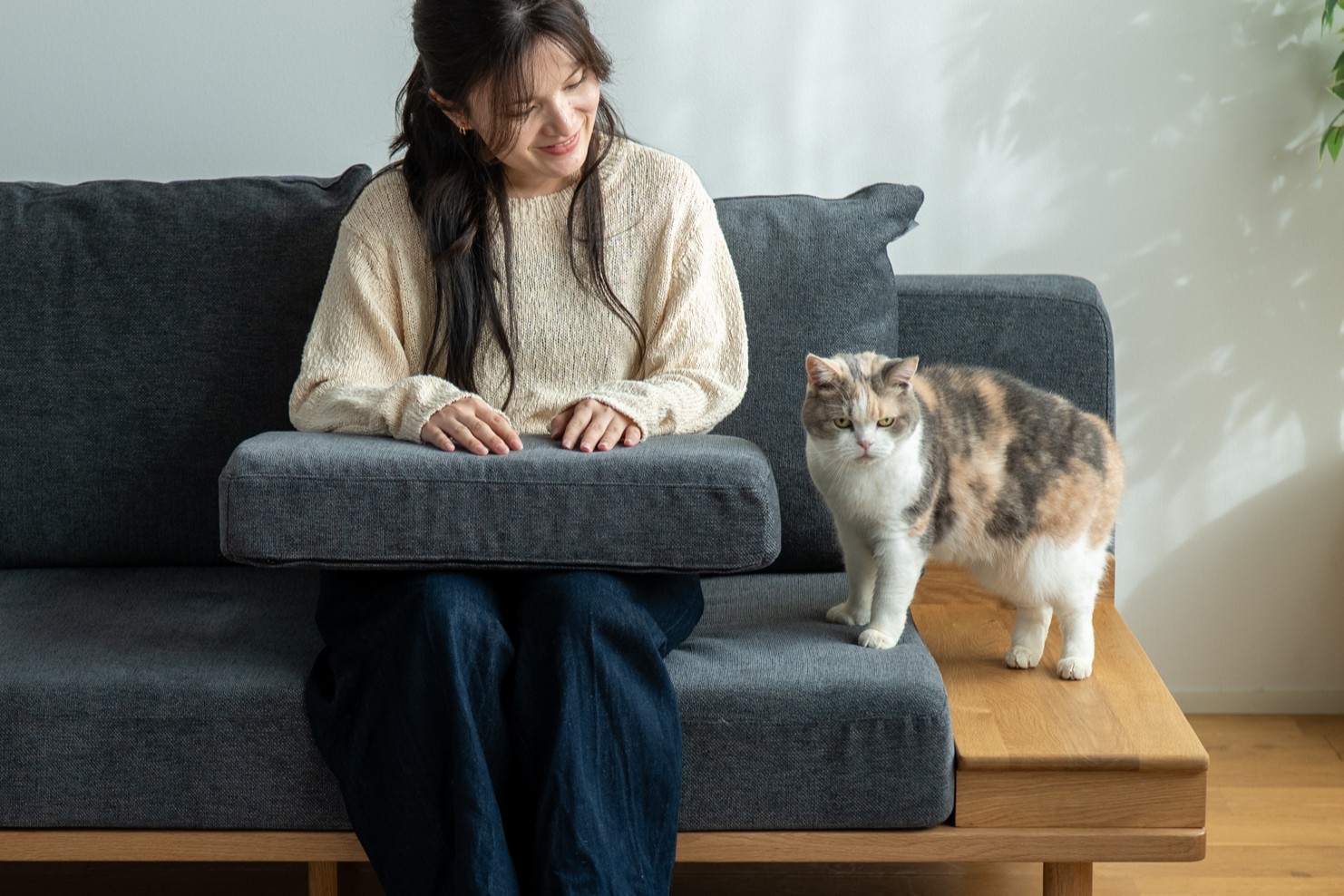 猫がリラックスできるソファの選び方：猫爪研ぎ癖に有効なソファ用 ペット対応生地とメンテナンス術