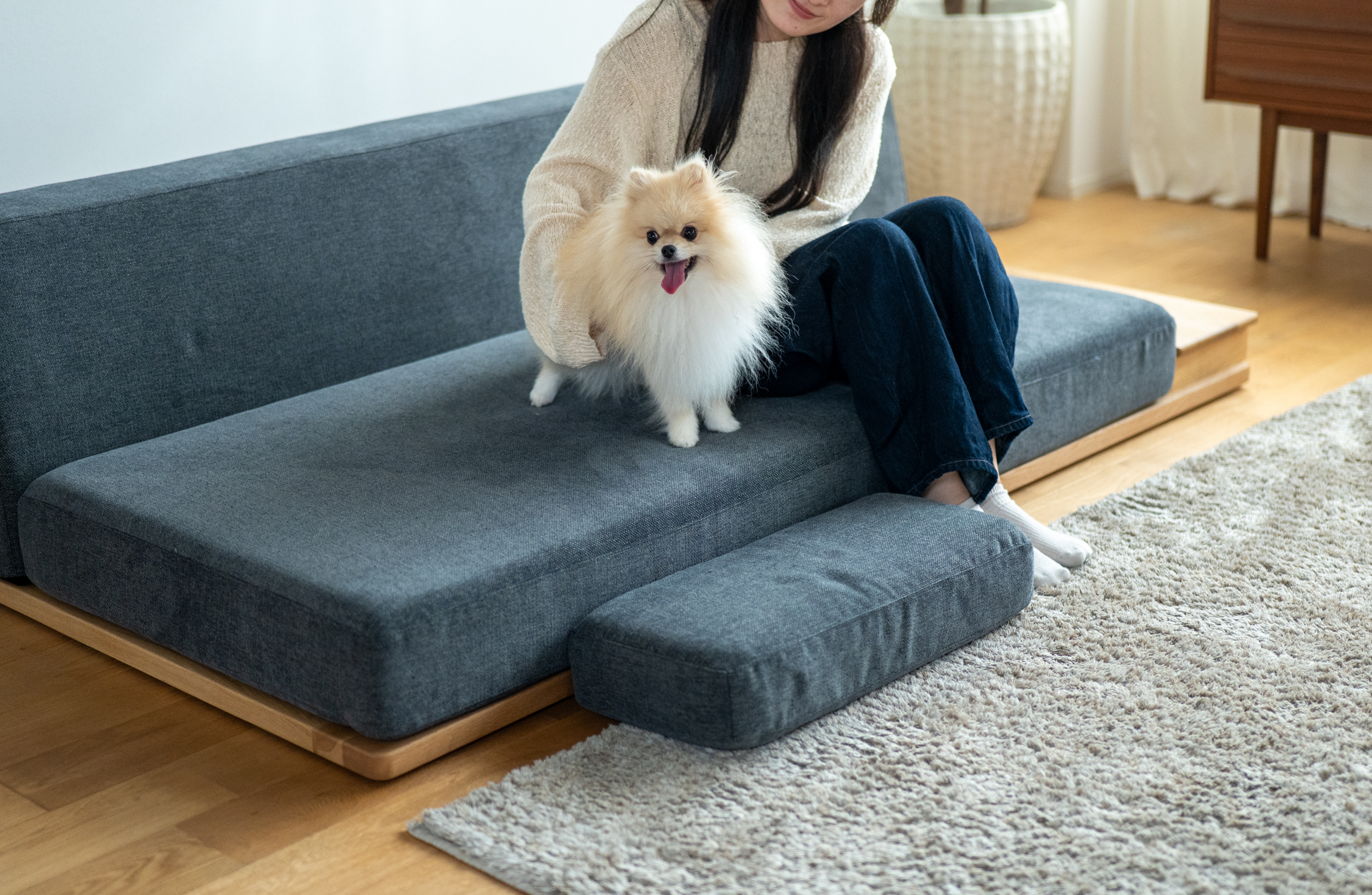 小型犬の飼い主さん必見！小型犬 ソファからの飛び降りによる「骨折リスク」と対策